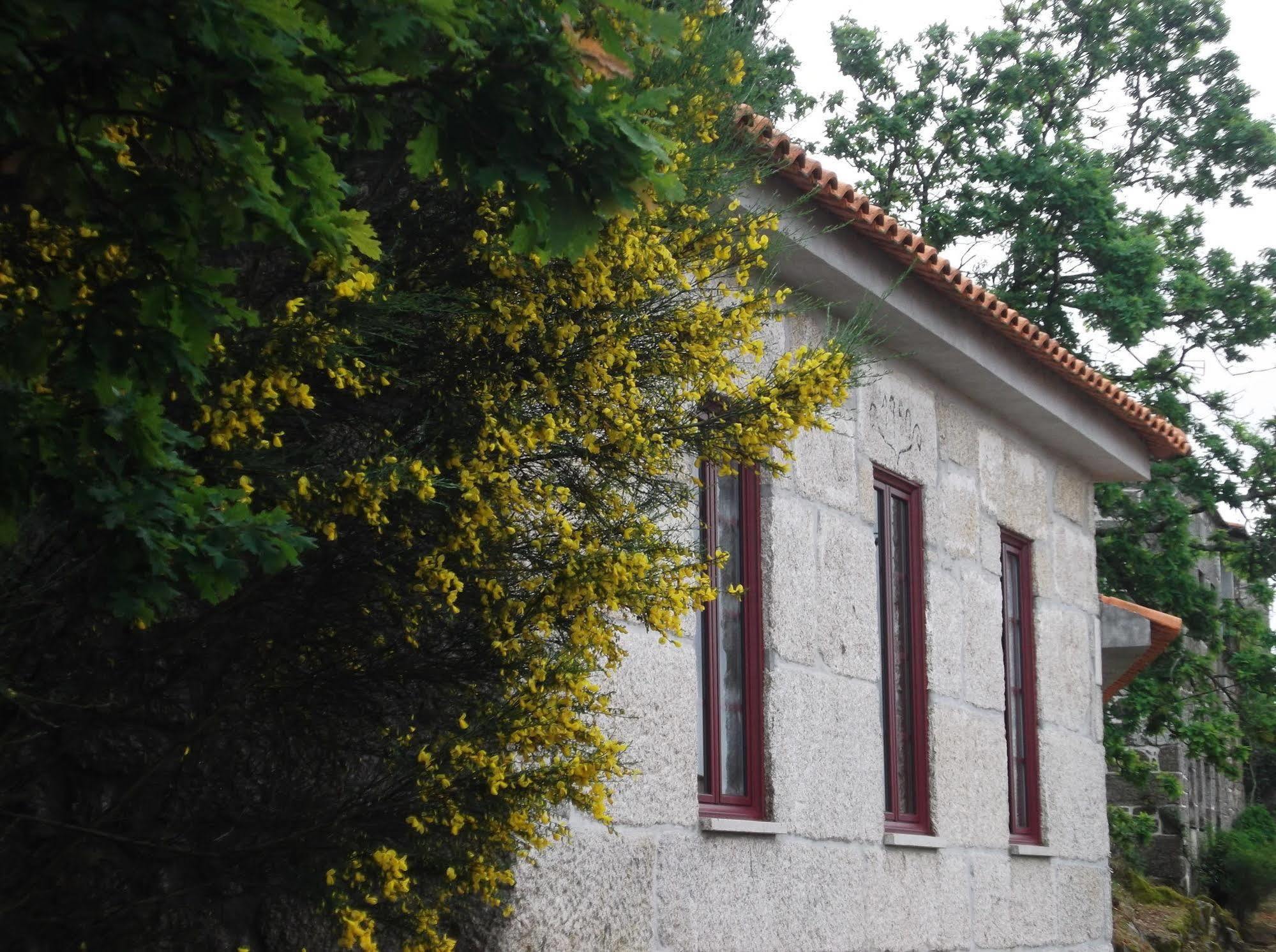 Casa Do Tear Vila Macieira de Alcoba Exterior foto